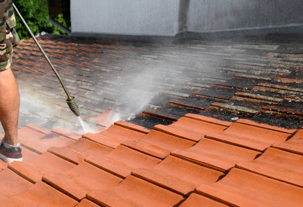 Best Sidewalk Pressure Washing  in Highland, IL